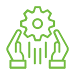 Management & Rollout Services